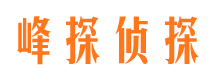 海陵调查公司